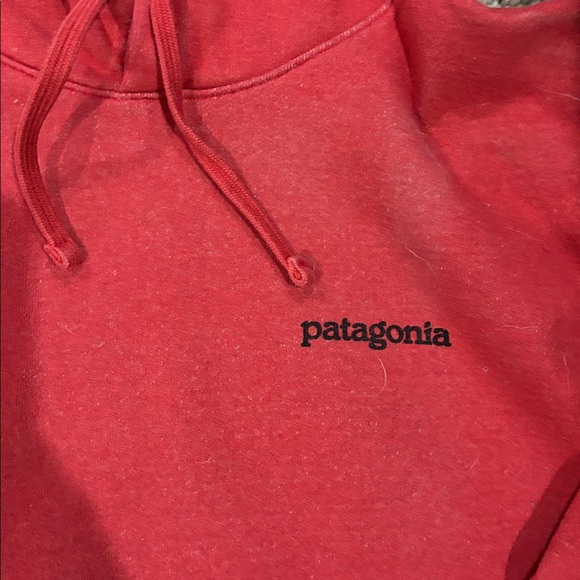 Patagonia Hoodie - Picture 3 of 5